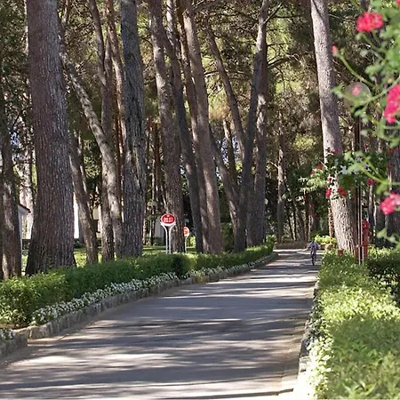 Lejlighed 1 Bedroom In Poreč